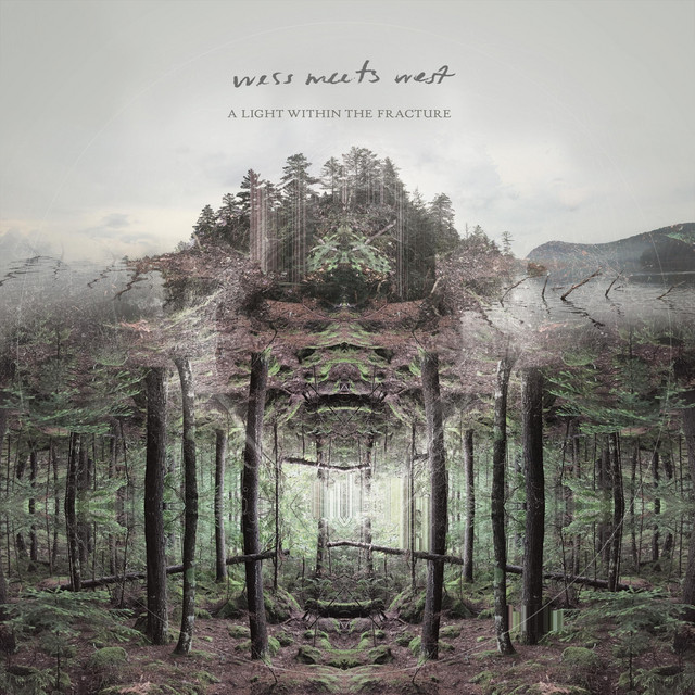 A Light Within the Fracture album cover