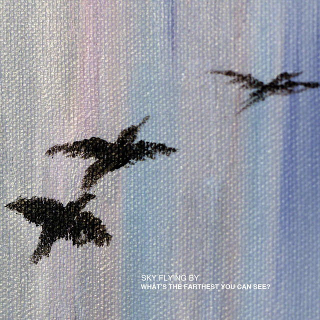 What's The Farthest You Can See? album cover