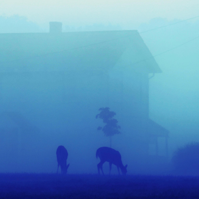 Songs for Ghosts album cover