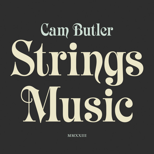 Strings Music album cover