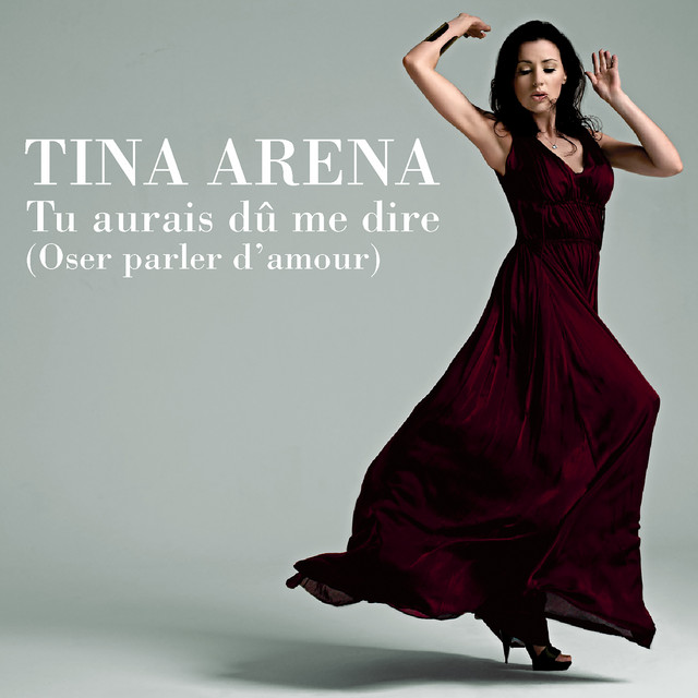 Tu Aurais Dû Me Dire (Oser Parler D'Amour)