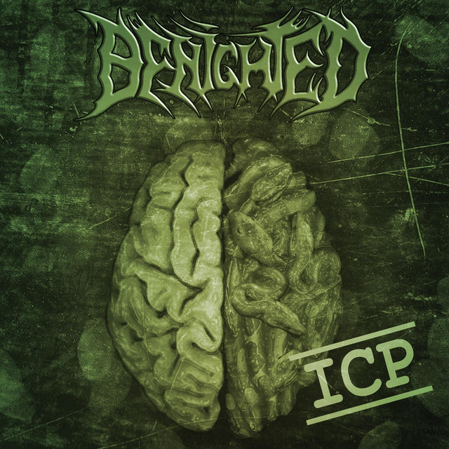 Insane Cephalic Production album cover