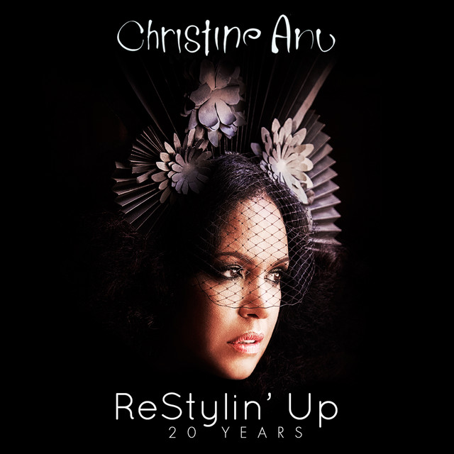 ReStylin' Up 20 Years album cover