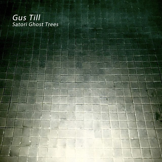 Satori Ghost Trees album cover