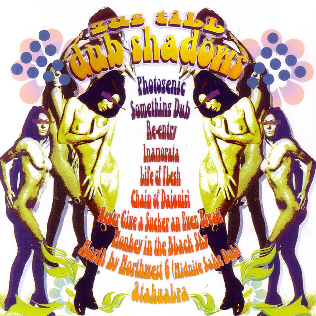 Dub Shadows album cover