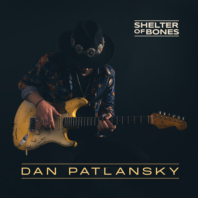 Shelter Of Bones album cover