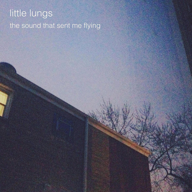 The Sound That Sent Me Flying album cover