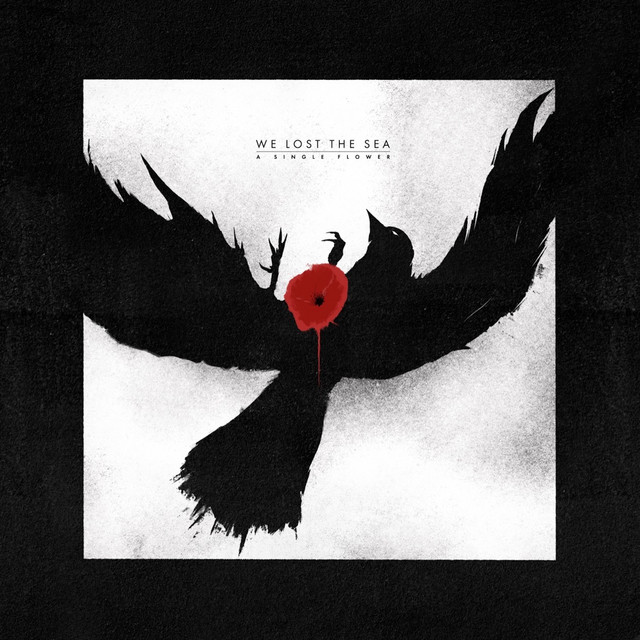 A Single Flower album cover