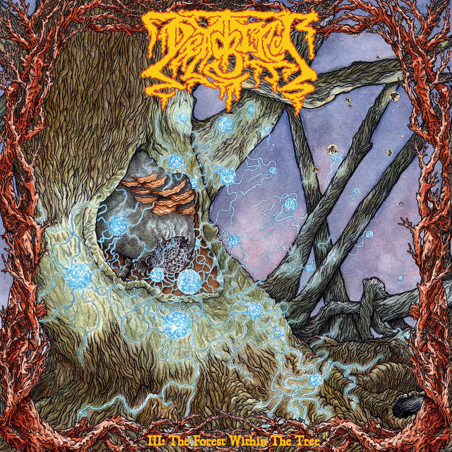 III: The Forest Within the Tree album cover