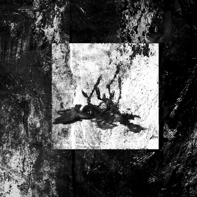 De Llums I Ombres album cover
