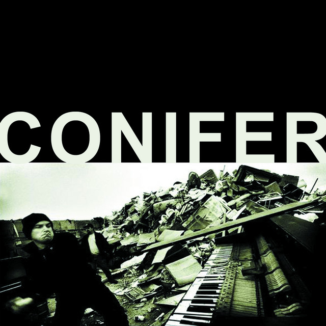 Conifer album cover