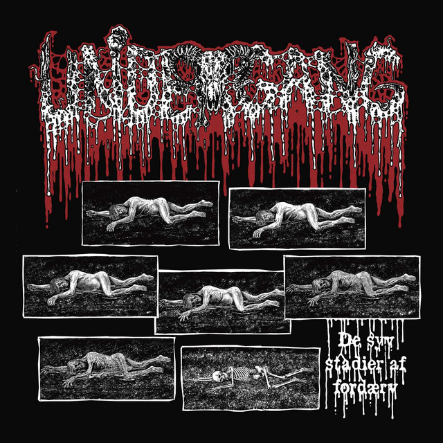 De syv stadier af ford album cover