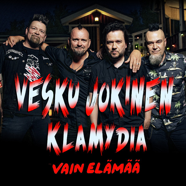 Vain elämää album cover
