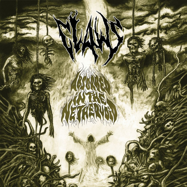 Absorbed in the Nethervoid album cover