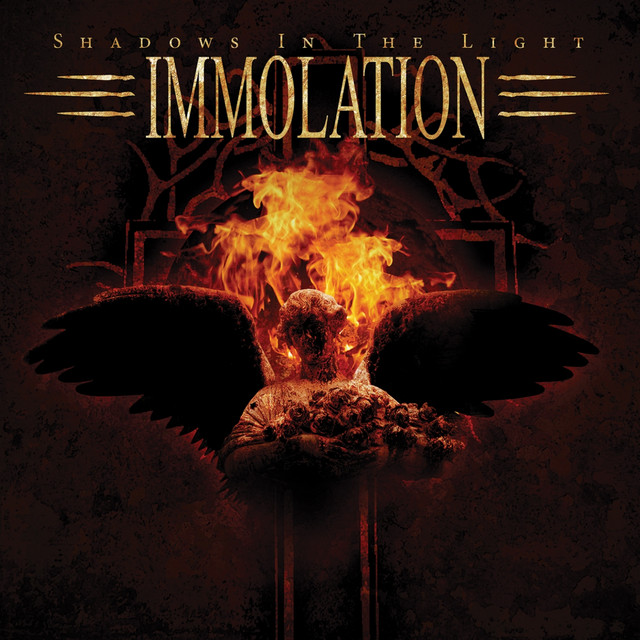 Shadows in the Light album cover