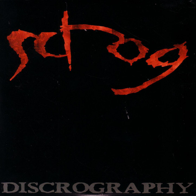 Discrography album cover