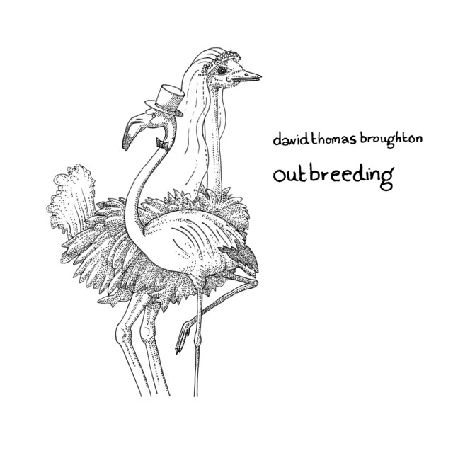 Outbreeding album cover