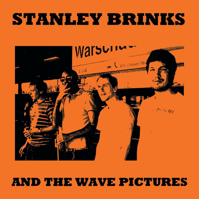 Stanley Brinks and the Wave Pictures album cover