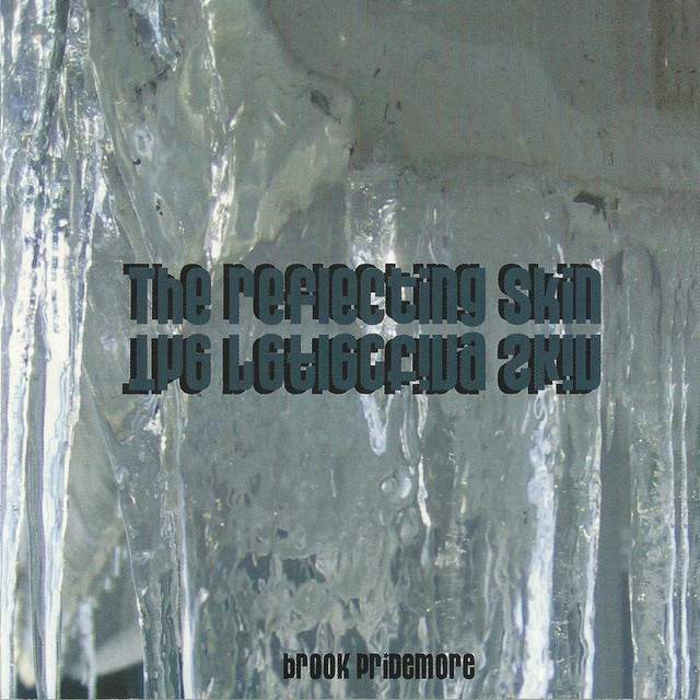 The Reflecting Skin album cover