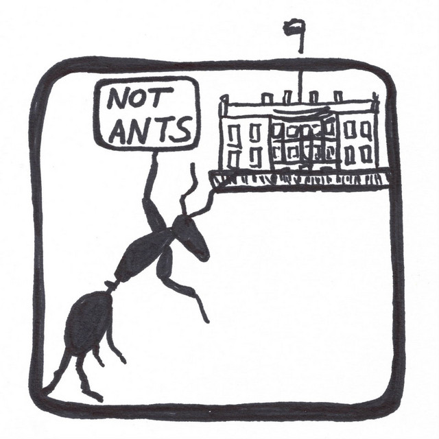 Not Ants album cover