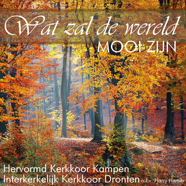 Wat zal de wereld mooi zijn album cover