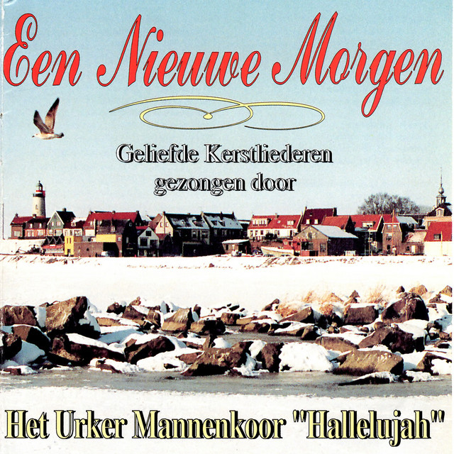 Een Nieuwe Morgen album cover