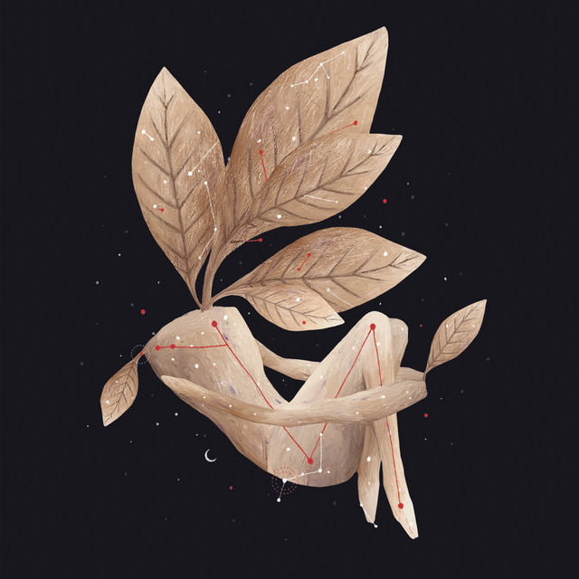 Constelaciones album cover