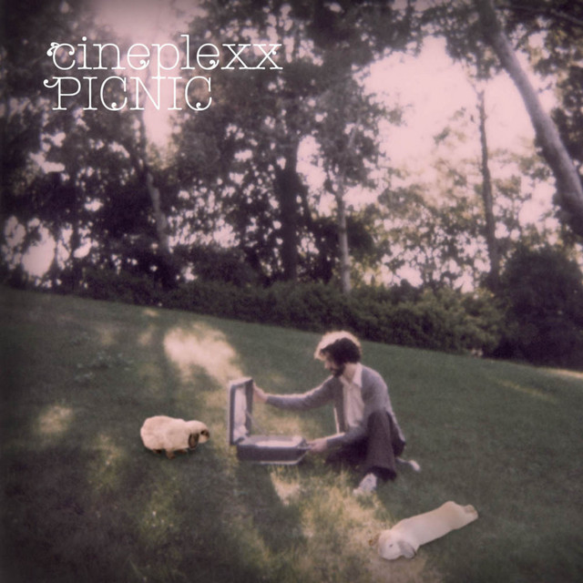 Picnic album cover