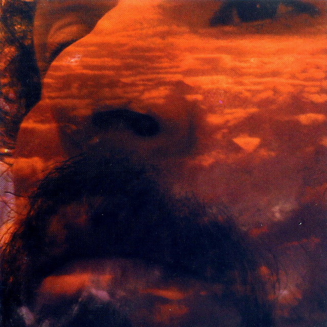 Un Hombre Solo No Puede Hacer Nada album cover