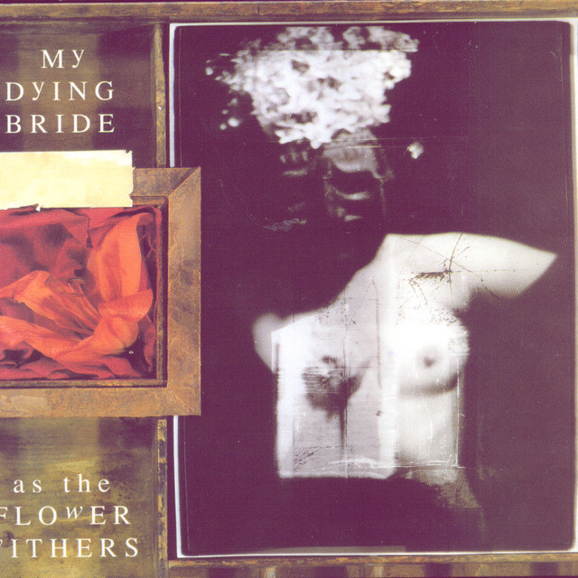 As the Flowers Withers album cover