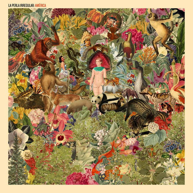 América album cover