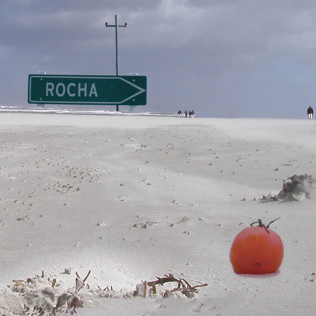Rocha album cover