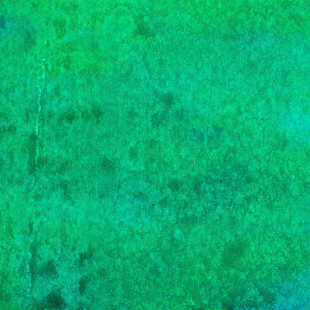 Verde Profundo album cover