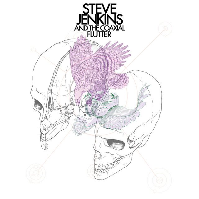 Steve Jenkins and the Coaxial Flutter album cover