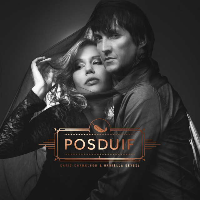 Posduif album cover
