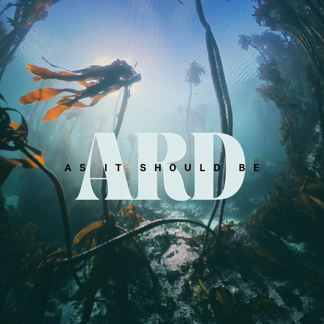 As It Should Be album cover
