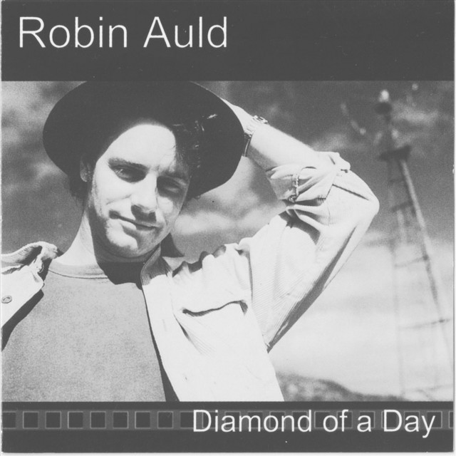Diamond of a Day album cover