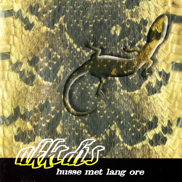 Husse Met Lang Ore album cover