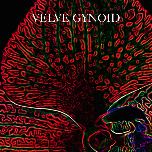 Gynoid album cover