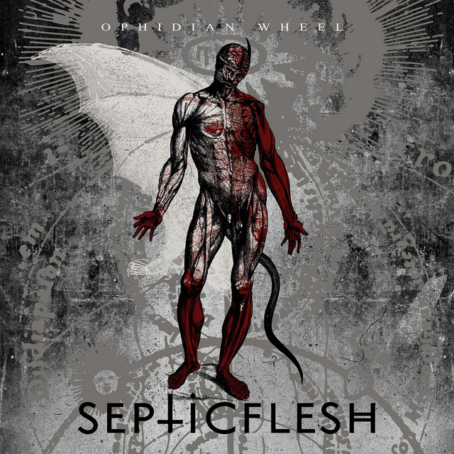Ophidian Wheel album cover