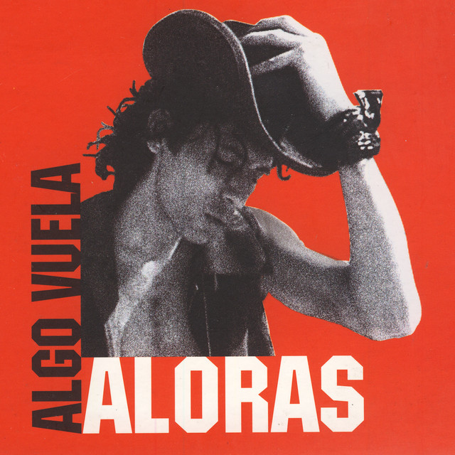 Algo Vuela album cover