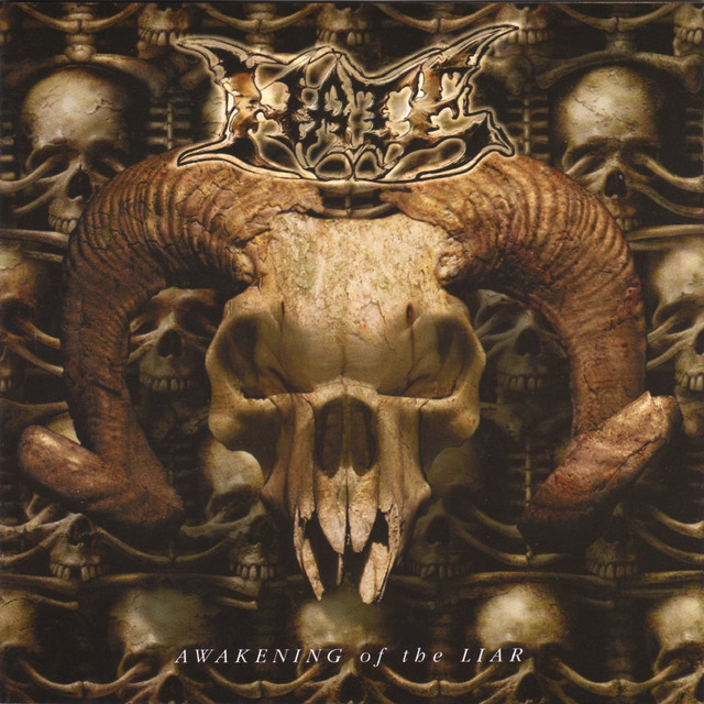 Awakening of the liar album cover