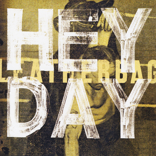 Hey Day album cover