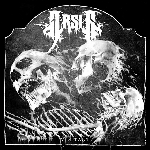 Visitant album cover