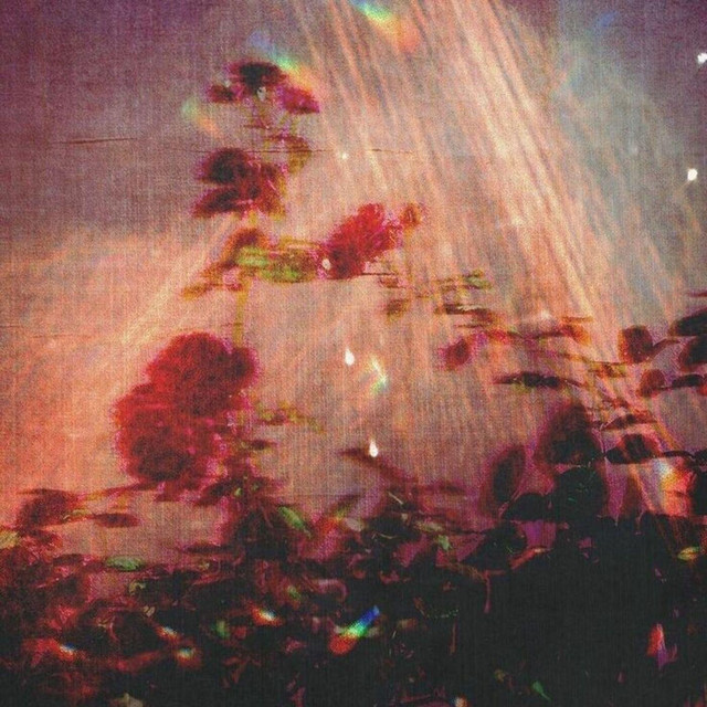 Drowse album cover