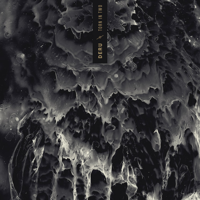 Torn in Two album cover