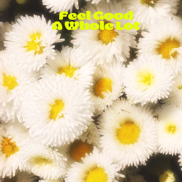 Feel Good A Whole Lot album cover