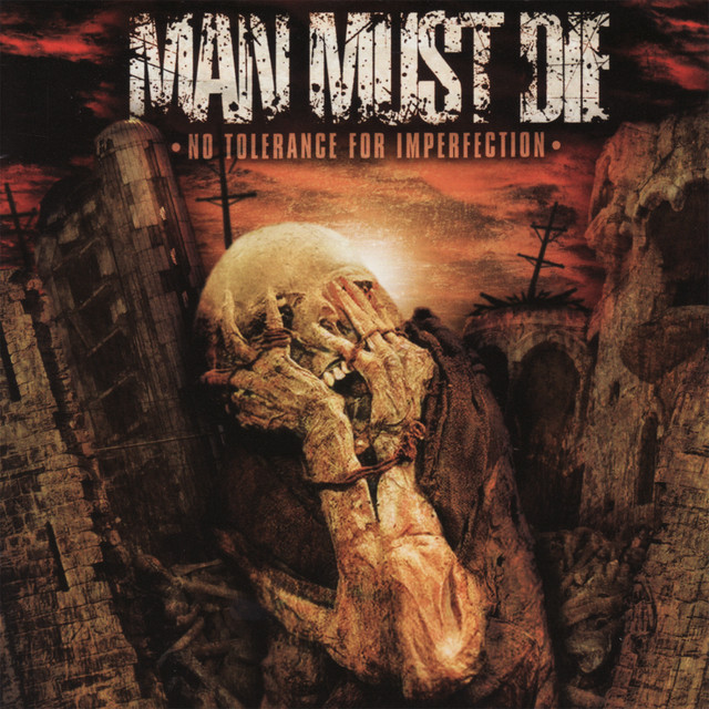 No Tolerance For Imperfection album cover