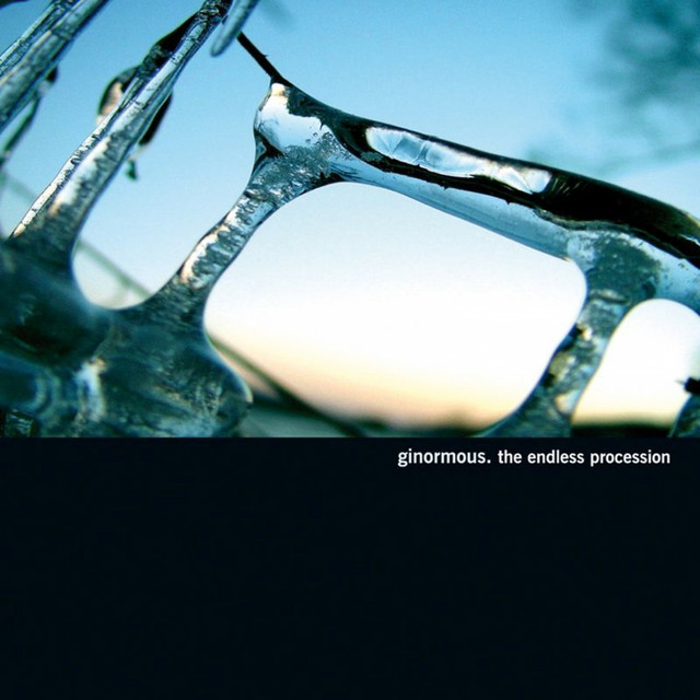 The Endless Procession album cover