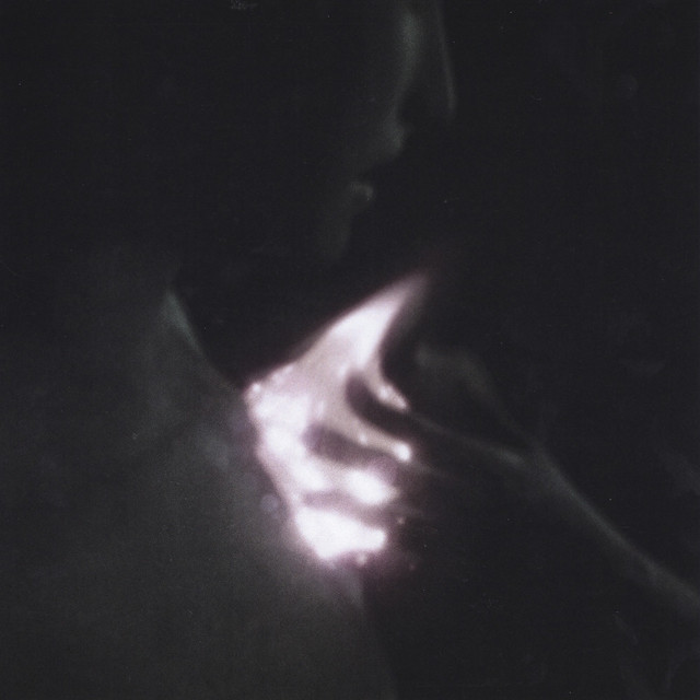 Dwelling Descender album cover